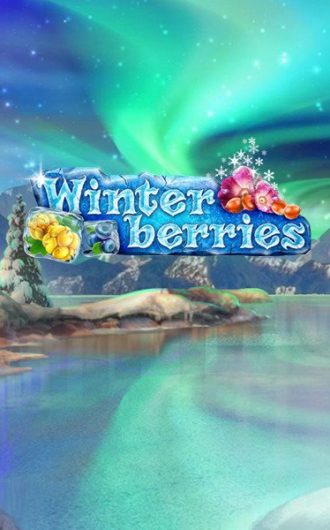 Winter Berries