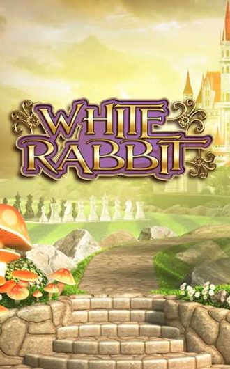 White Rabbit