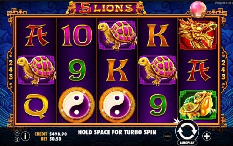 5 Lions