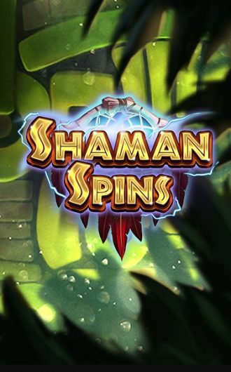 Shaman Spins